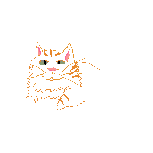 Orange Cat! by Ally